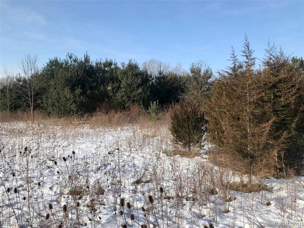 0 Clio Road - Photo 1