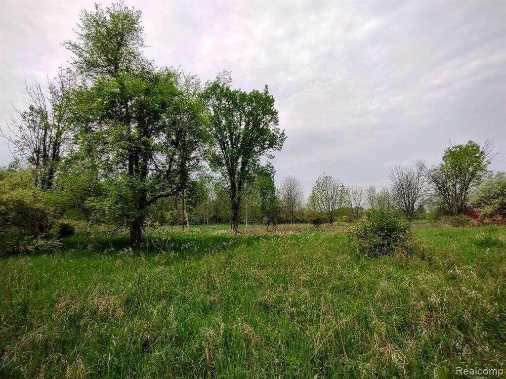 6086 Washburn Road - Photo 1