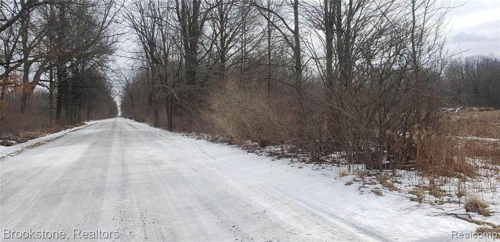 0 Springborn Road - Photo 1