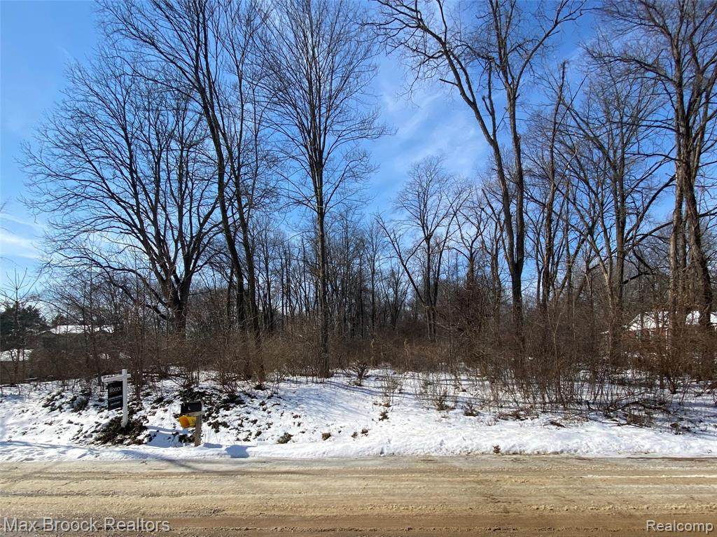 31061 Glenmuer Street - Photo 1