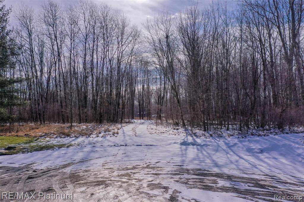 1231 Essay Lane - Photo 1
