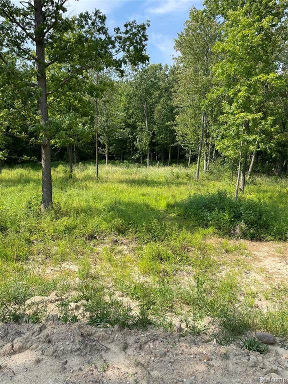 3800 Demode Road - Photo 1