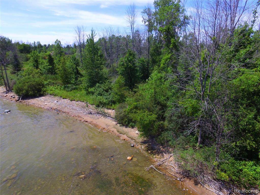 TBD Sunshine Trail - Photo 1
