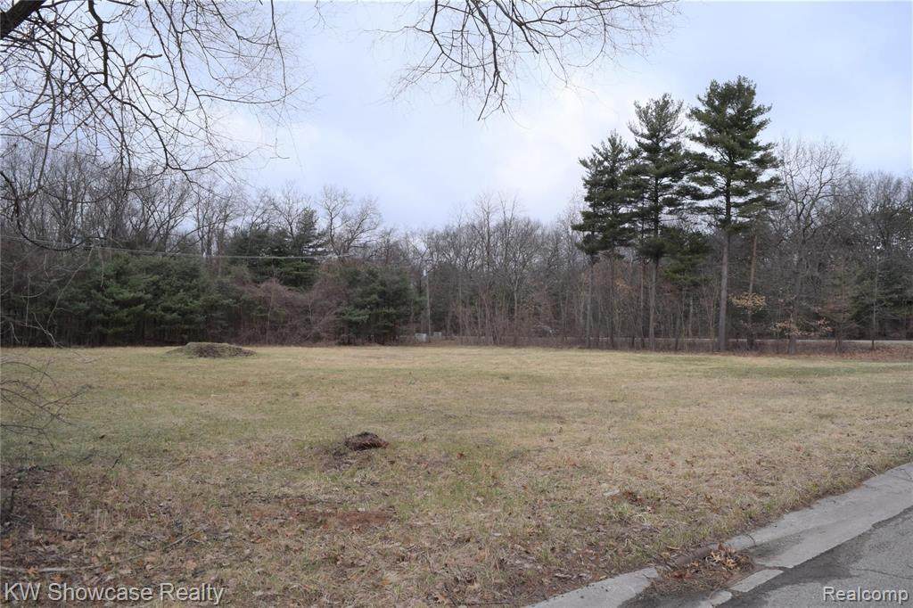 VACANT Pioneer Drive - Photo 1