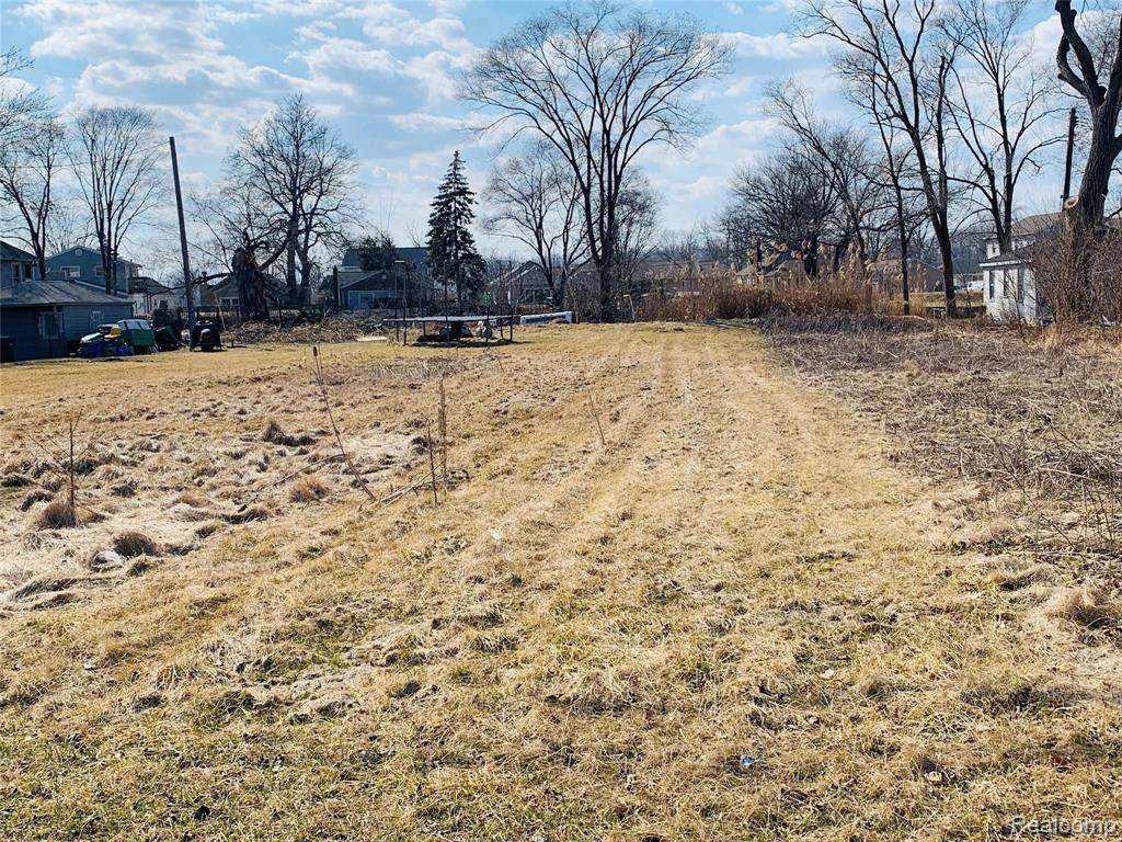 0000 Jefferson Avenue - Photo 1