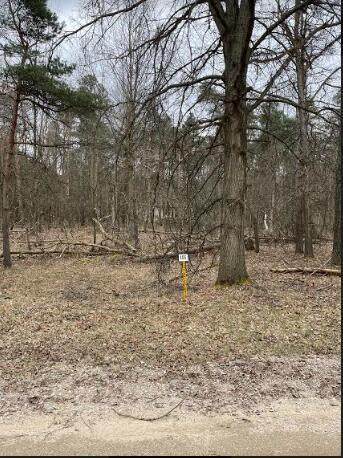 10083 Evergreen Lane - Photo 1