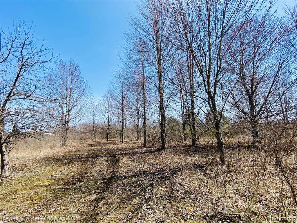 000 Kilburn Road - Photo 1
