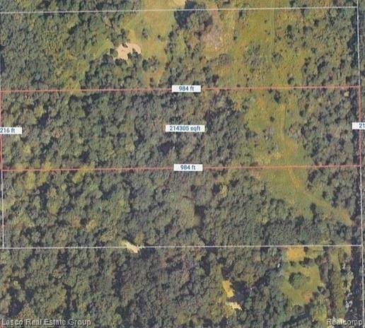 9242 Irish Road - Photo 1