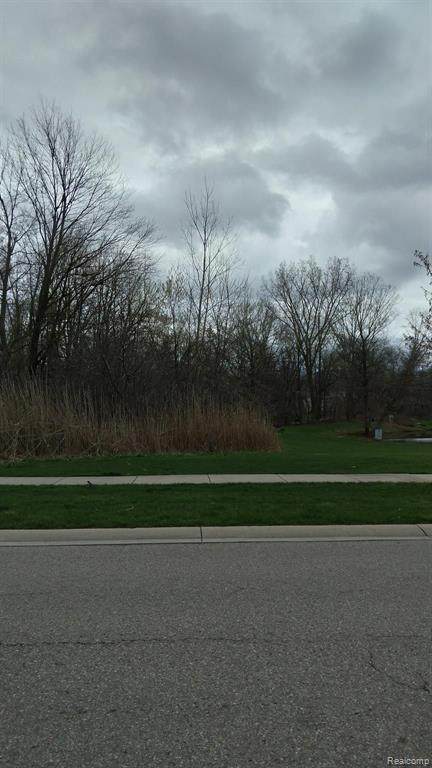 7025 24 MILE Road - Photo 1