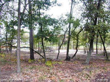 9797 Whispering Pines - Photo 1