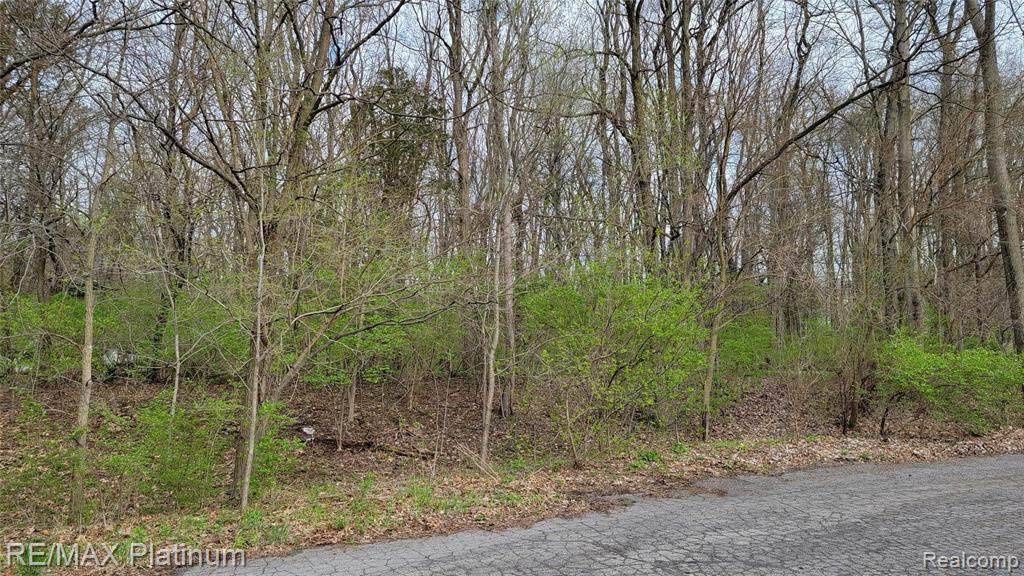 VL Huron Oaks Drive - Photo 1