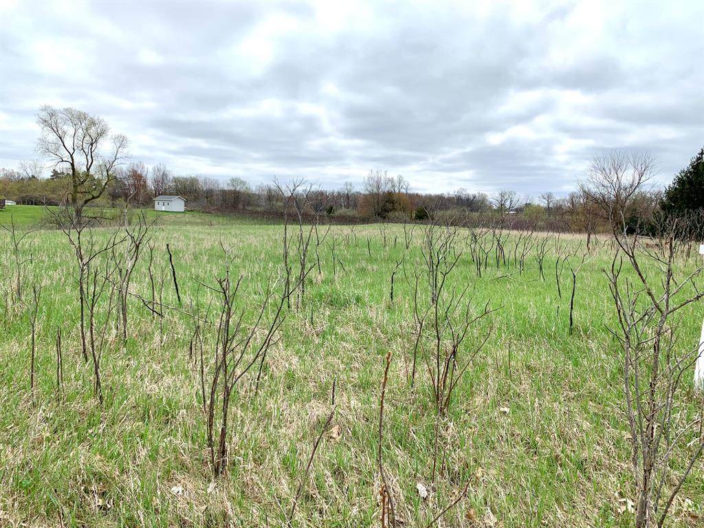 13601 Shannon Drive - Photo 1