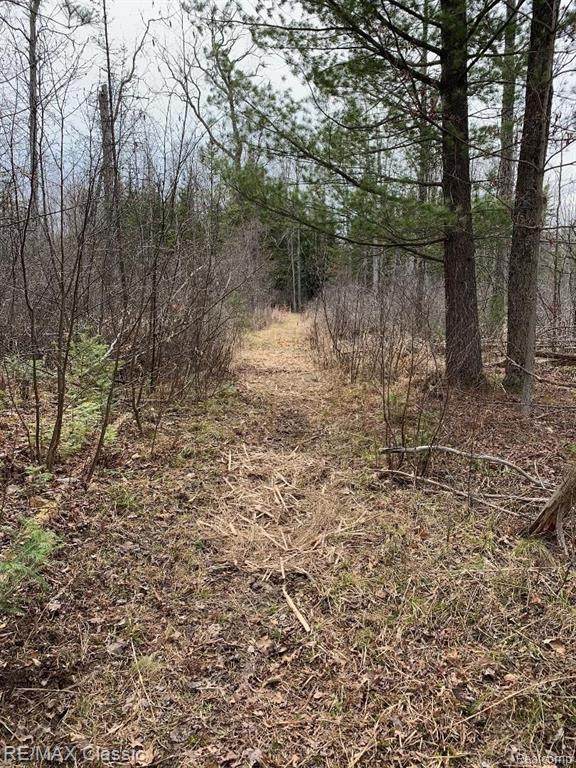 0000 Slosser Trail - Photo 1