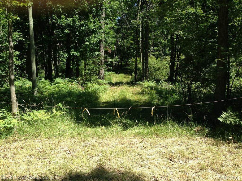 4240 Sand Road - Photo 1