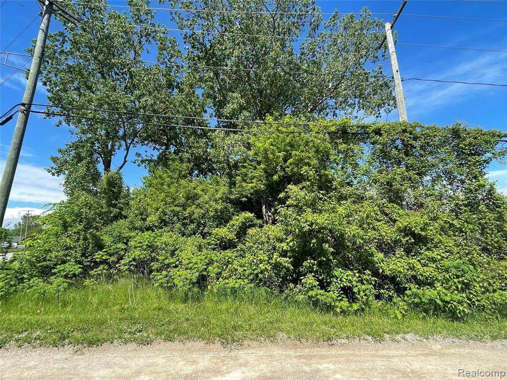 00000 Milliman Road - Photo 1