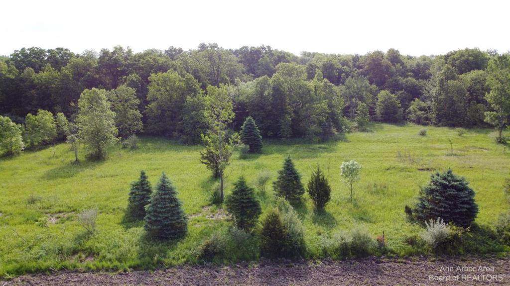 0 Rentz Road - Photo 1