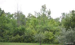 0 Home Town Drive - Photo 1
