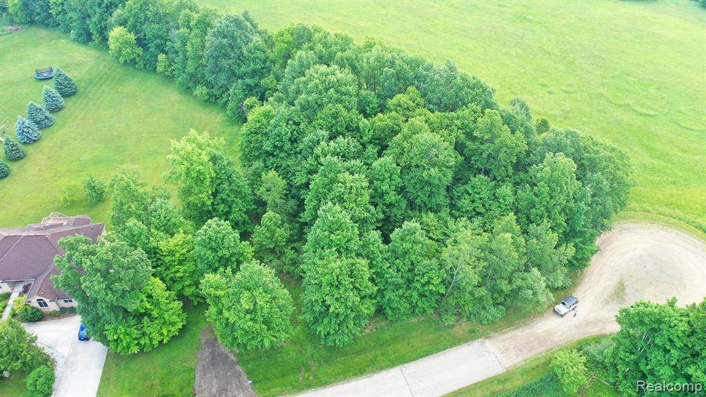 0000 Belle Ridge - Photo 1