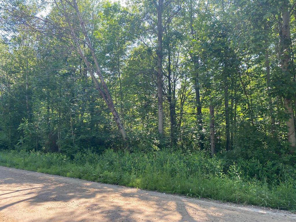 0 158th Avenue - Photo 1