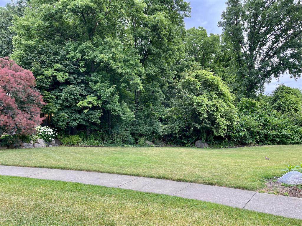 3649 Iris Drive - Photo 1