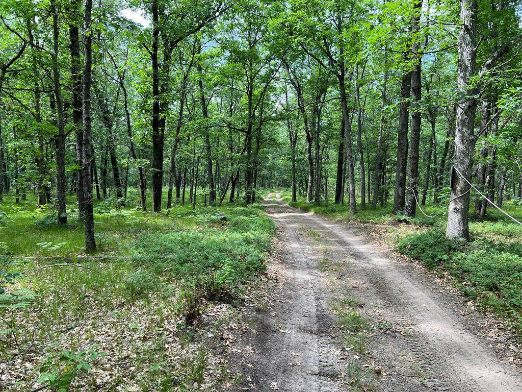 V/L Wolf Trail - Photo 1