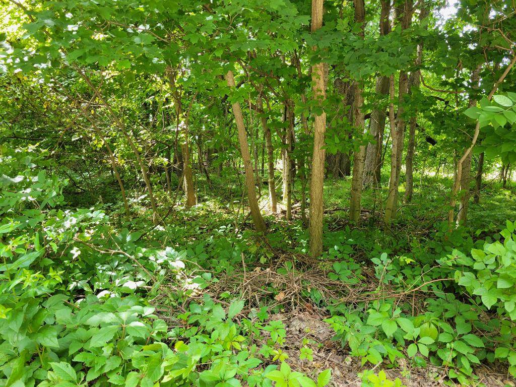 1386 Riverside Road - Photo 1