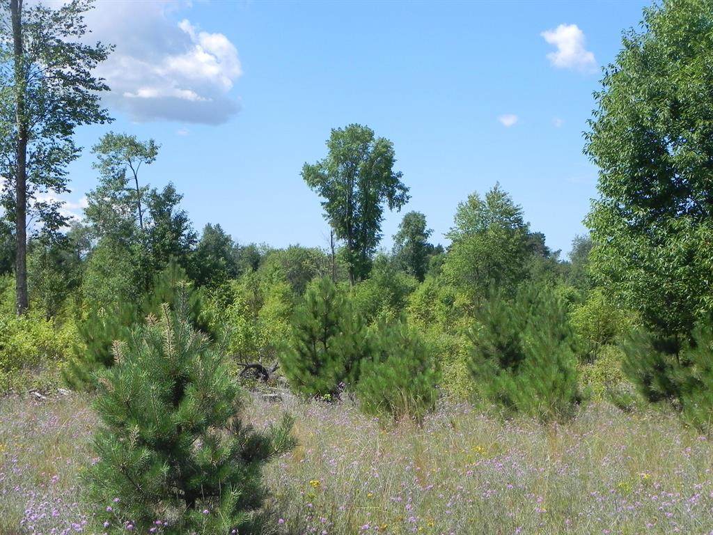 0 Healy Lake Road - Photo 1