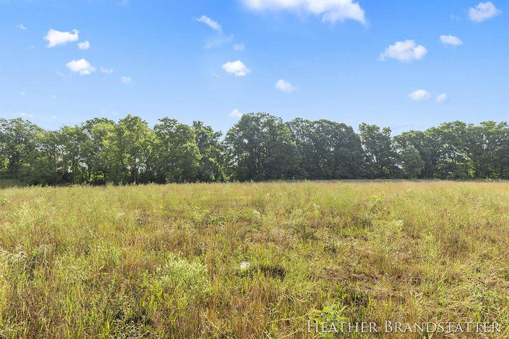 5086 Hickory Pointe Woods - Photo 1