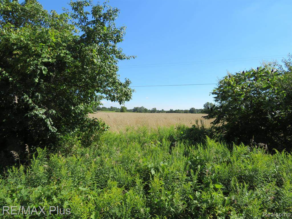 0000 Hollow Corners Road - Photo 1