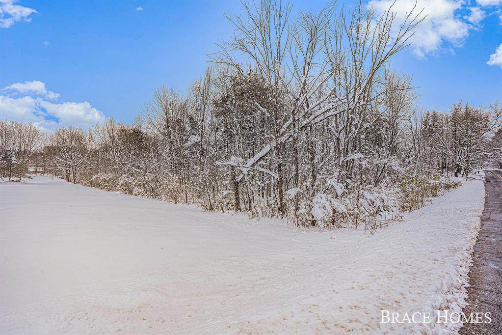 6050 Thornapple River Drive - Photo 1
