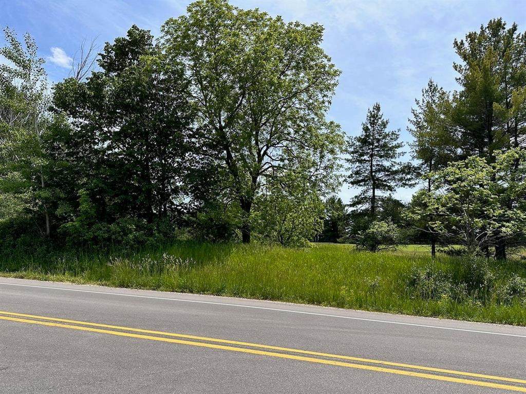 Lot 8 Schoolcraft Road - Photo 1