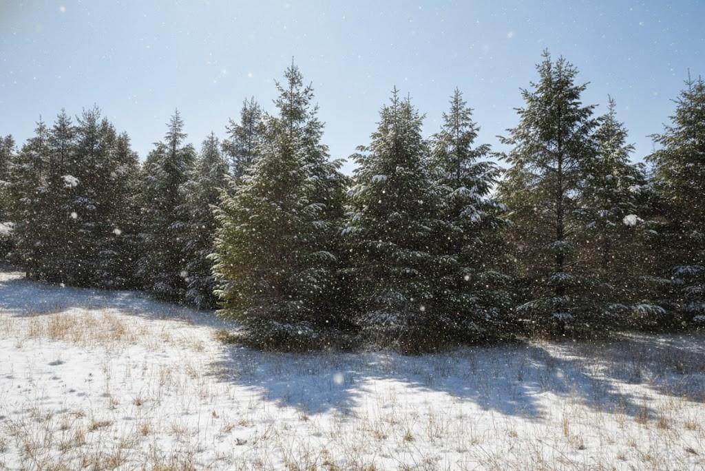 5 Spruce Hollow Trace - Photo 1