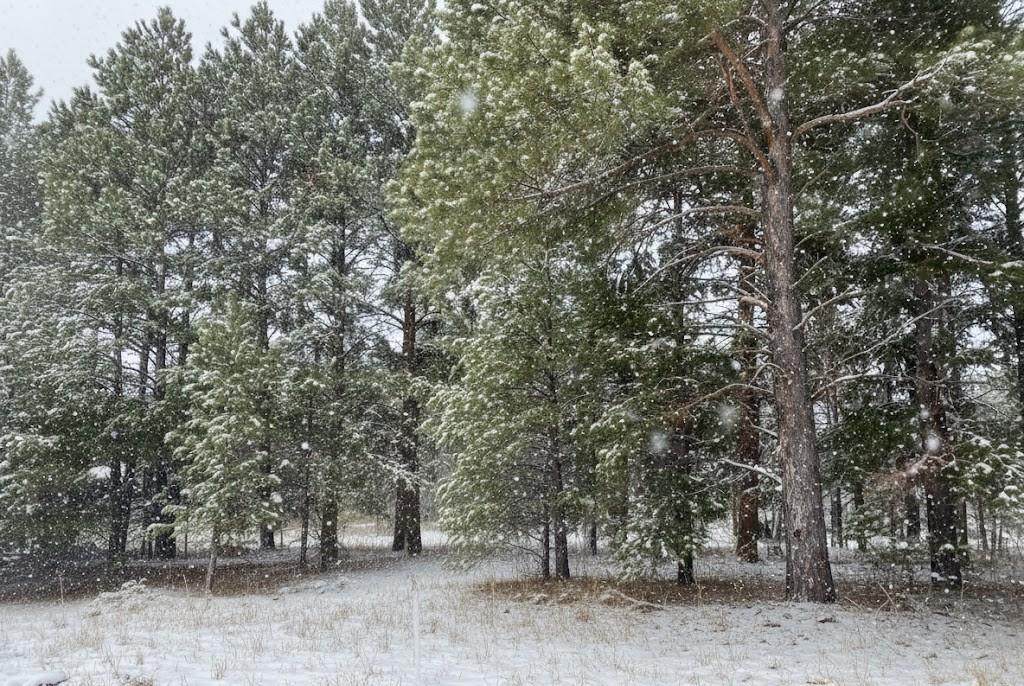 4 Spruce Hollow Trace - Photo 1