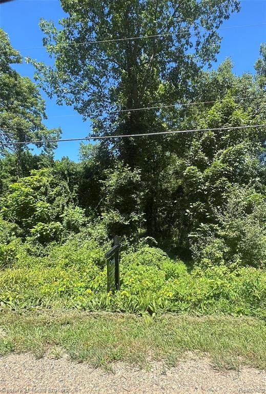 00 White Lake Road - Photo 1