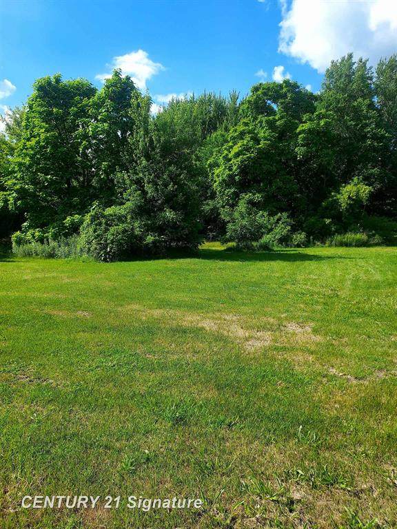 11038 Farrand Road - Photo 1