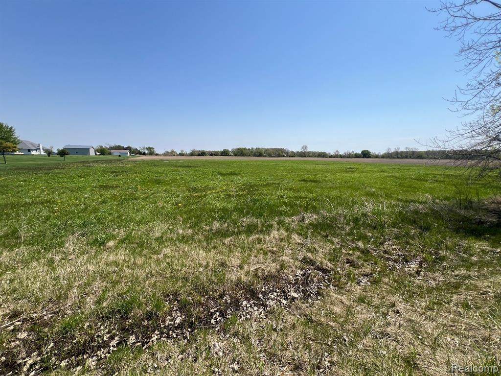 1990 Buck Tail Road - Photo 1