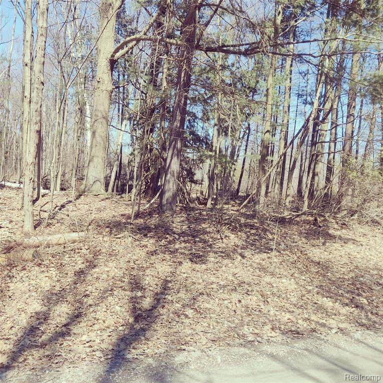0 Schott Road - Photo 1