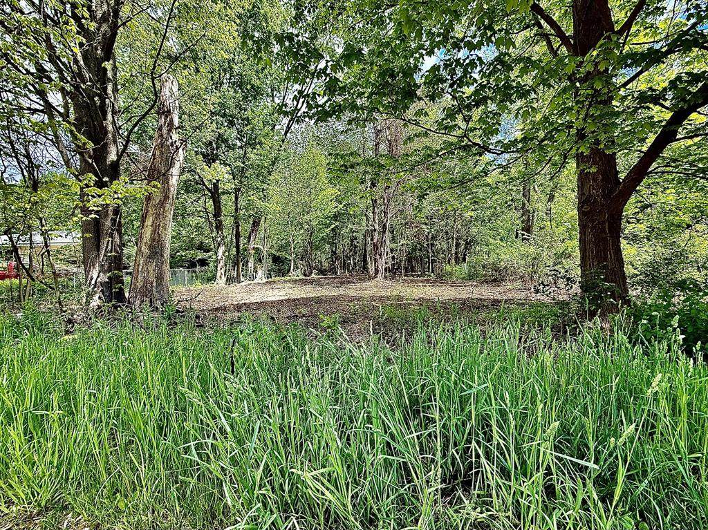 0 Brooks Road - Photo 1