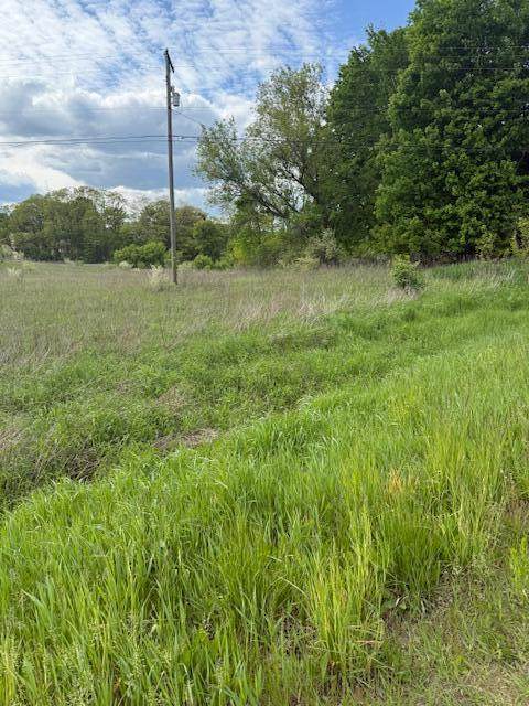 13790 Old 14 Mile Road - Photo 1