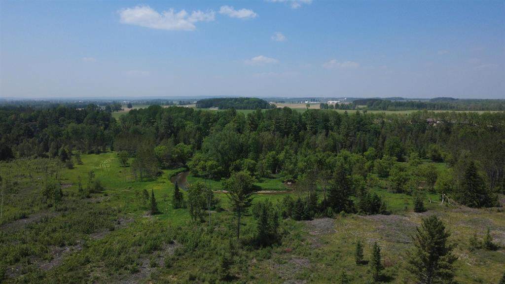 x Oleskie Trail - Photo 1