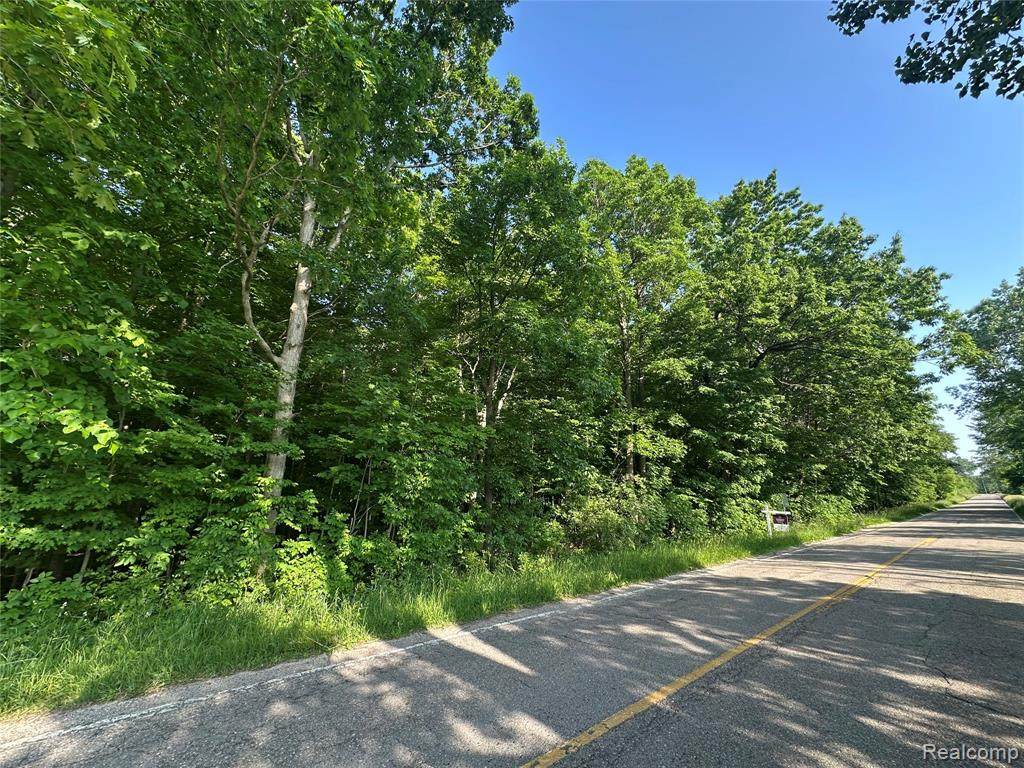 0 Elba Rd - Photo 1