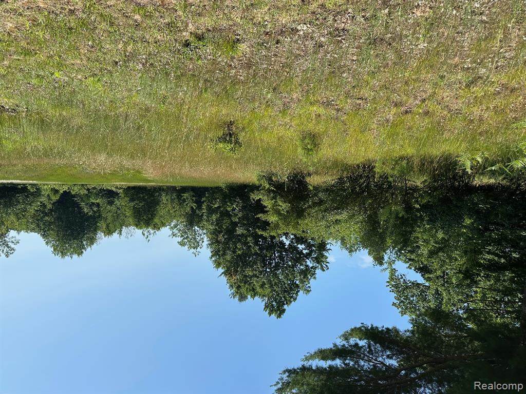 77 Starlight Ridge Circle - Photo 1