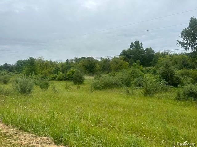 10.63(+/-) Acres Lapeer Road - Photo 1