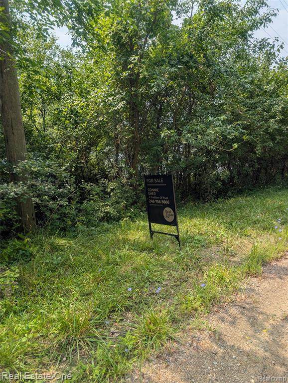 0000 Ward Road Ward Road Road - Photo 1