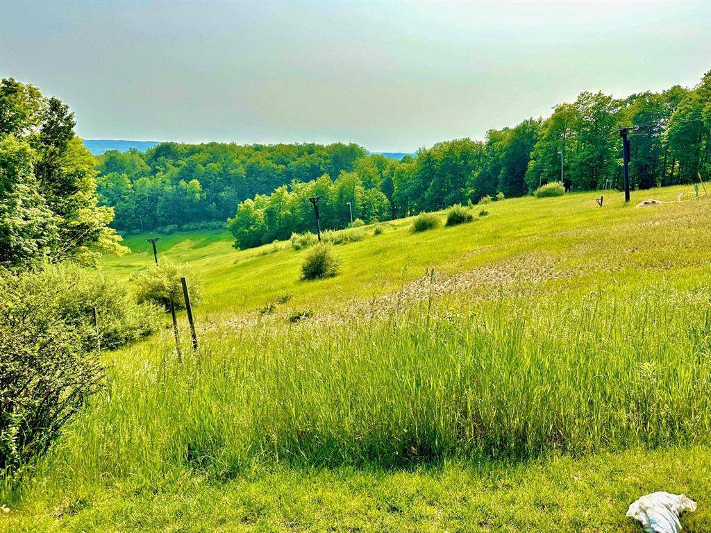 5828 Shanty Creek Road - Photo 1