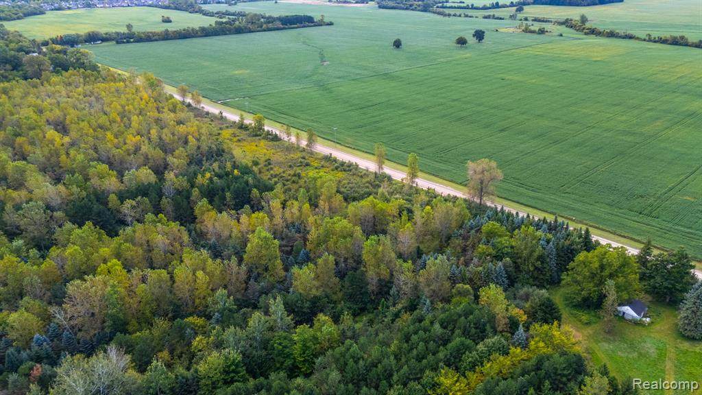 10065 Cherry Hill Road - Photo 1