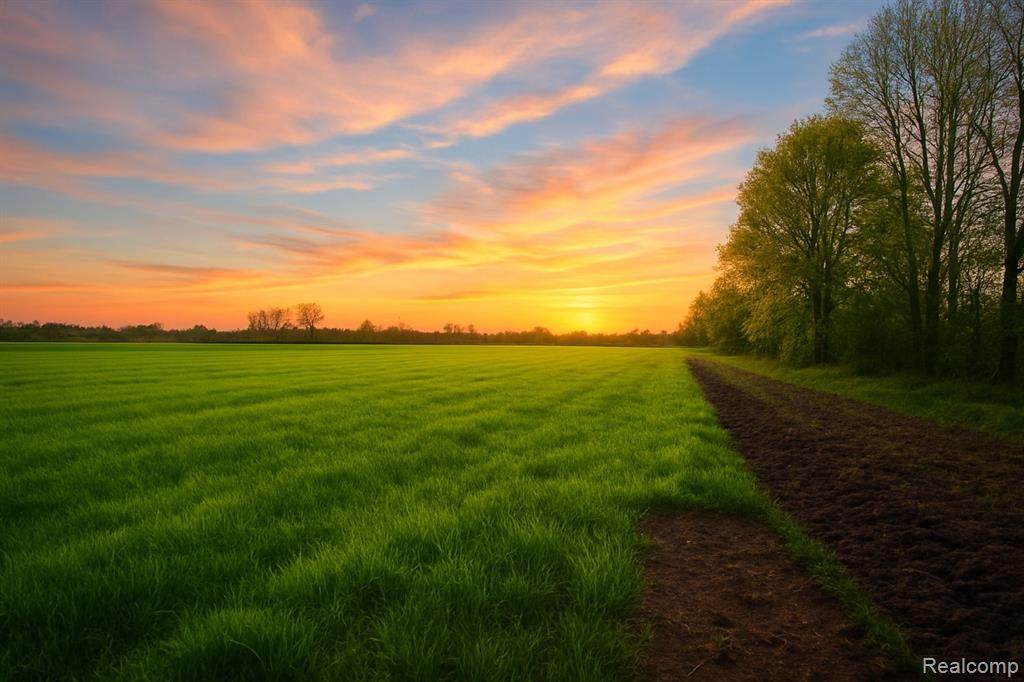 000 Fisher Road - Photo 1