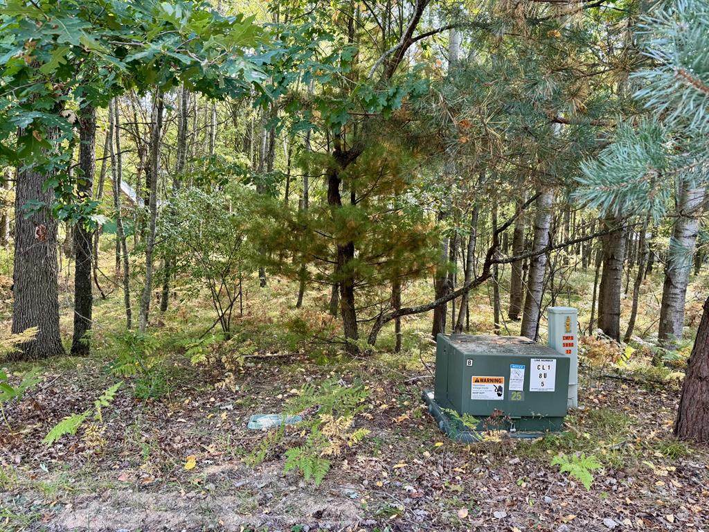 6742 Abbey Lane - Photo 1