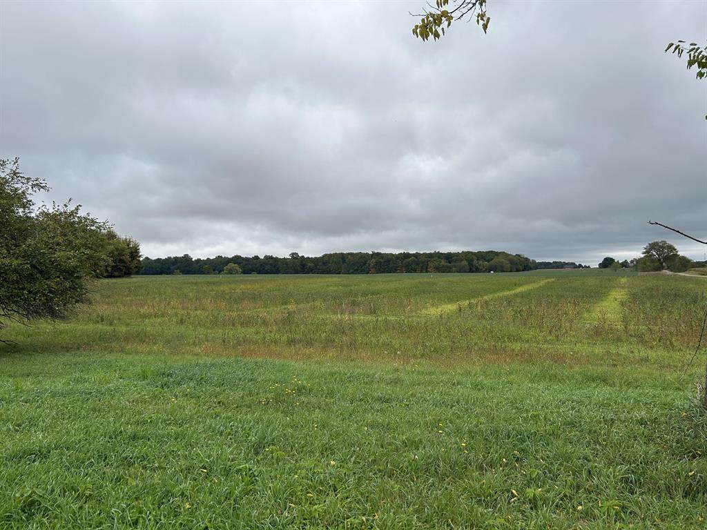 Parcel 5 Woodland Road - Photo 1