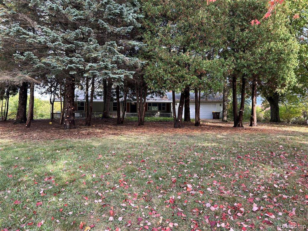5900 Hagadorn Road - Photo 1